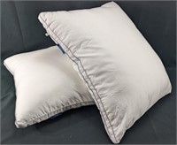 (2) Viewstar Standard Size Pillows