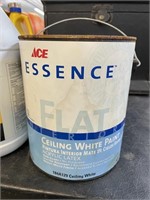 ACE Flat Ceiling White Paint