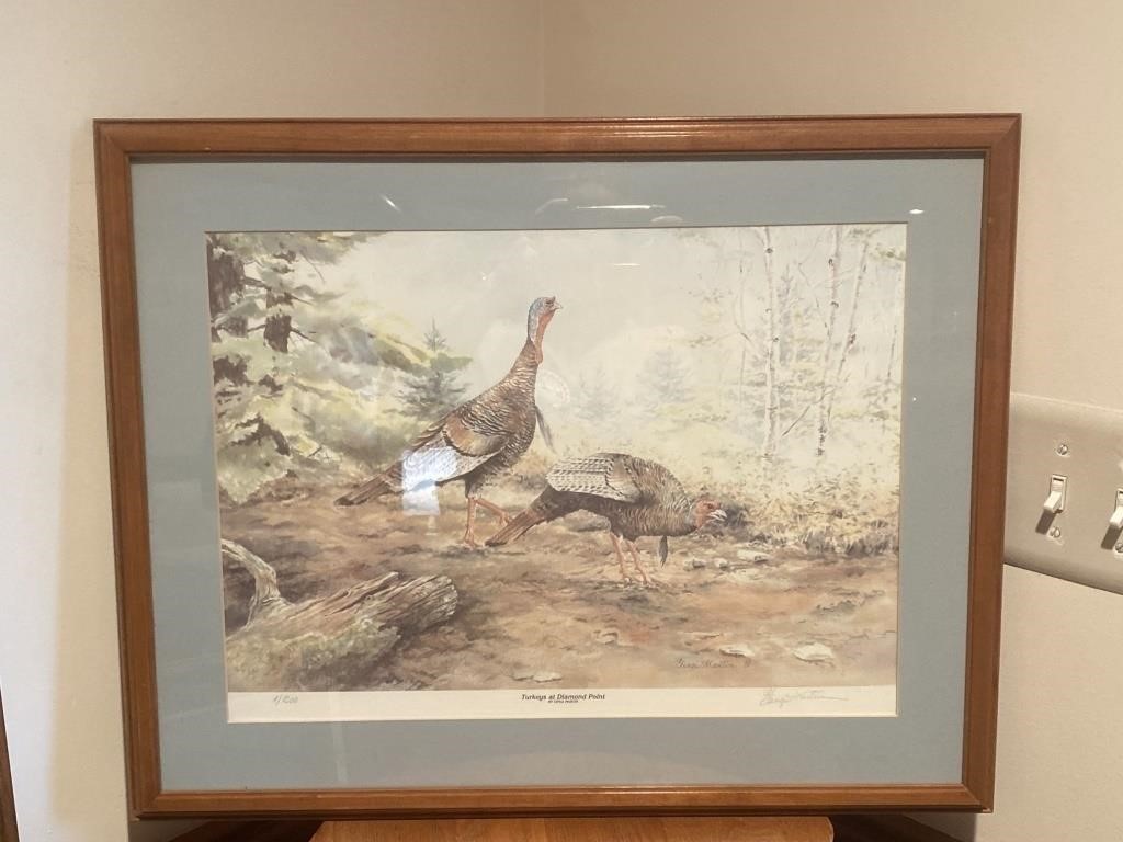 Signed & Numbered Gingi Martin Turkey Print