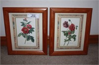 Pr Matted and Framed Floral Prints
