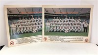 Two Baltimore Orioles 1981 baseball team