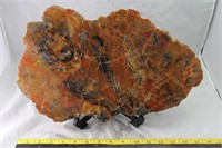 Arizona Petrified Wood