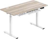 SHW 55-Inch Large Electric Height Adjustable Stand