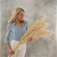 Tall 45" Pampas Grass - Large Naturally Dried