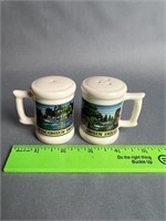 Wisconsin Dells Salt and Pepper Shakers