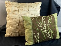 2 Accent Pillows