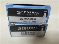 40 Rounds Federal 22-250