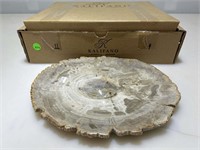 Petrified wood stone plate. 9x11