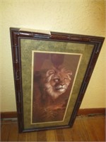 Lion Picture-Home Interior 14x24