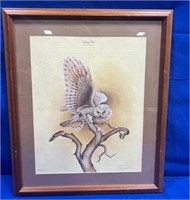 Snowy Owl by Jim Oliver Framed & Matted Print
