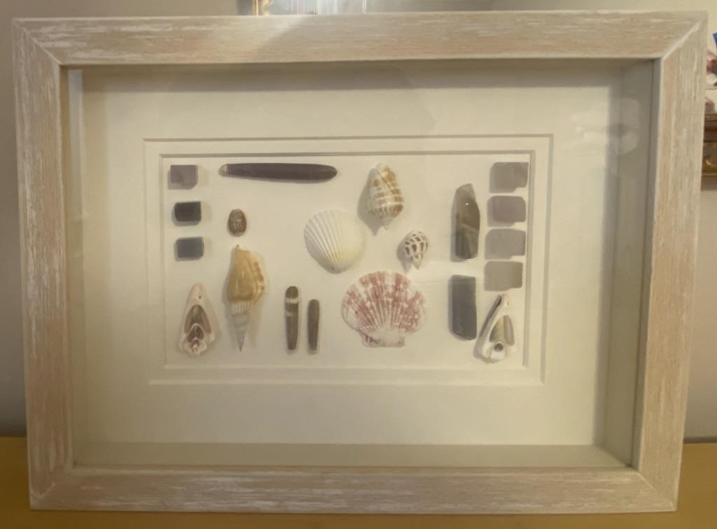 FRAMED SEASHELL SHADOWBOX