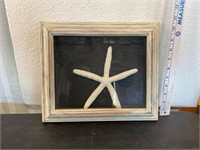 Framed Starfish