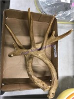 RESIN ANTLERS