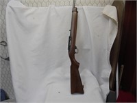 Ruger 10-22  .22cal rifle