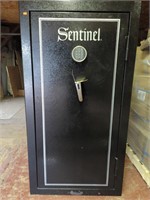 SENTINEL 24 GUN GUN SAFE