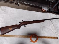 Remington Model 514  .22,