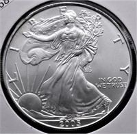 2005 SILVER EAGLE  GEM