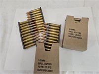5.56 mm Ball 60 RDS Ammo  On Clips