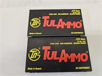 223 Gun Ammo 40 RDS