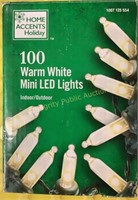 Home Accents 100 Warm White LED Lights