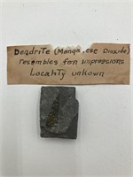 Dendrite Fossil In Manganese Dioxide