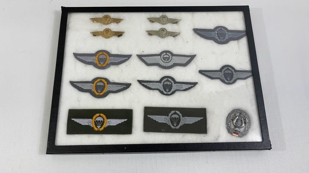 Vintage German Military Patches/Pins With Display