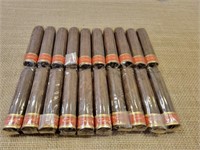 Cain F Nub Cigars by Oliva Lot Contains 20 Cigars