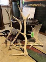 Collection of Elk and Fallow Deer antlers