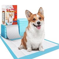 WF324  Tolobeve Puppy Training Pads, 22 in x 22, 6