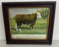 1916 California Favorite Hereford Steer