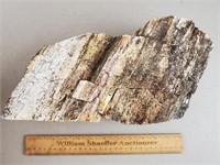 Petrified Wood