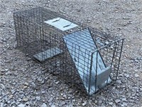 Animal Trap