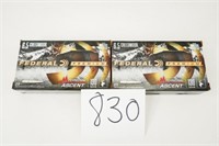 40RNDS/2BOXES OF FEDERAL PREMIUM TERMINAL ASCENT 6