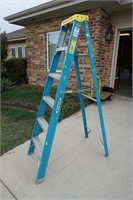 Werner folding ladder