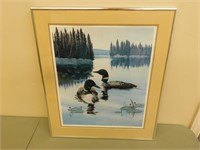 Loons - Derk  22X26 framed picture