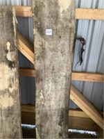 Liveedge Poplar