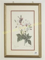Floral print 17" x 13"
