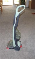 Bissell Carpet Cleaner with Cleaners