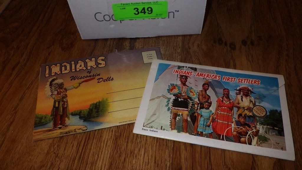 VINTAGE WISCONSIN DELLS INDIAN POSTCARDS