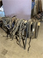 Two sets of harness including collars, harness