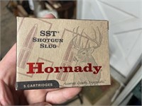 Hornady 20 Gauge 2 3/4 length 250 grain