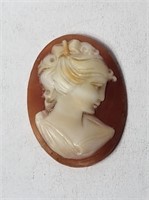 Carved Shell Cameo VTG