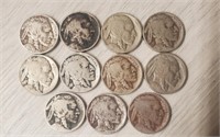 (11) 1920's Buffalo Nickels
