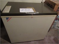 CHEST FREEZER (SEE PICTURES)