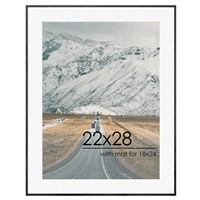 22x28 Metal Picture Frame for Wall with Mat for 18