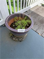 BEAUTIFUL CERAMIC FLOWER POT