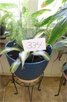 Plants in Blue Pot and Metal Stand