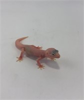 Baby Leopard Gecko