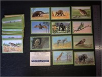 BIRDS, ANIMALS: 64 x CHLORODONT Trade Cards (1932)