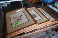 Set of 3 Framed Prints